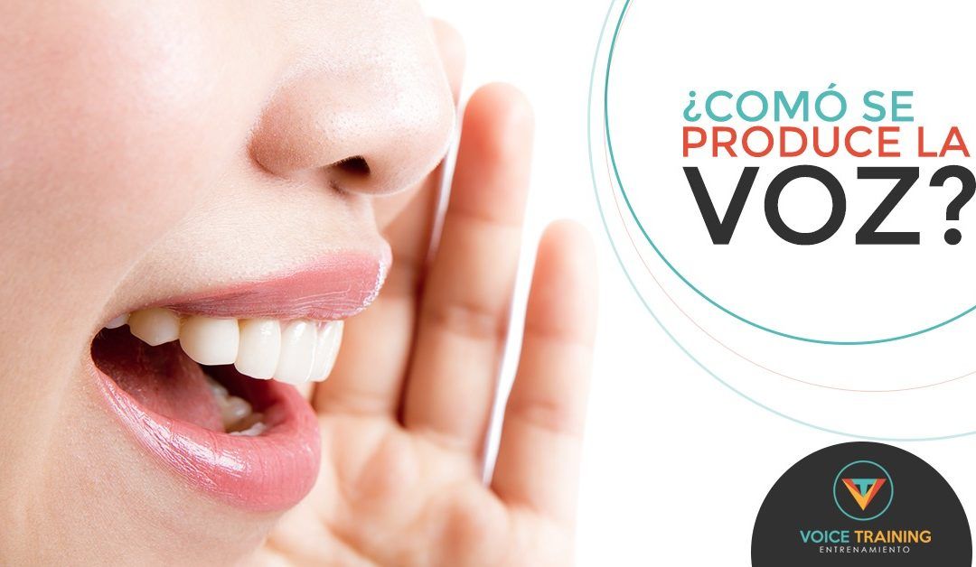 ¿Cómo se produce la voz?